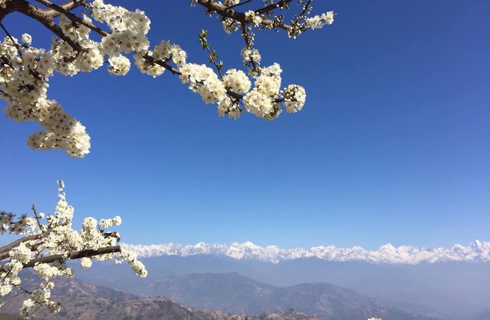 It's springtime in Nepal